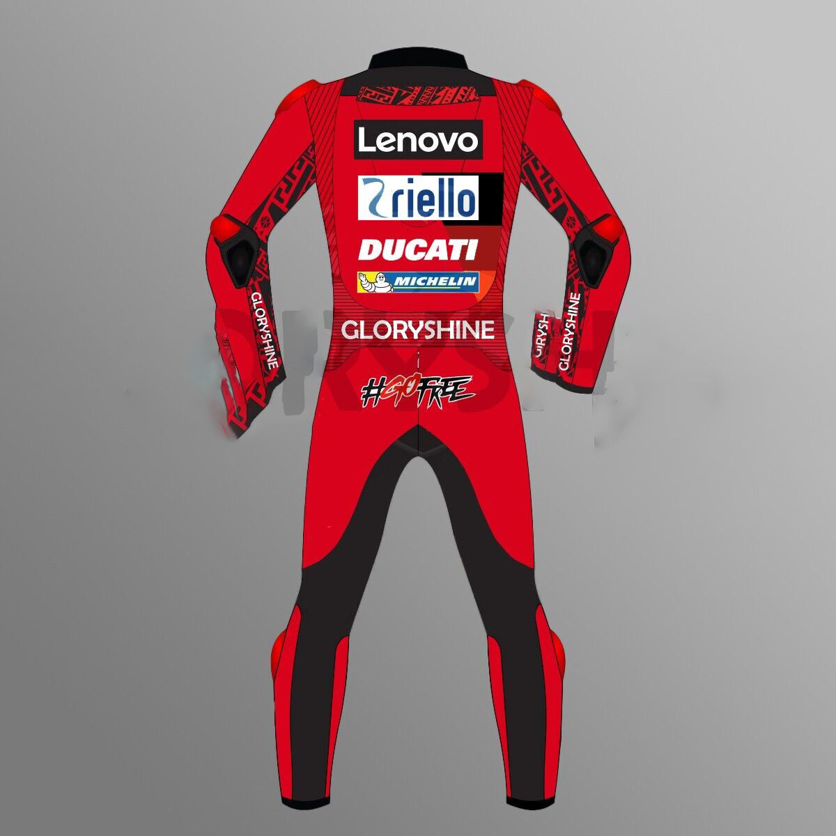 Motorbike Racing Leather Suit MN-014