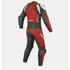 Motorbike Racing Leather Suit MN-040